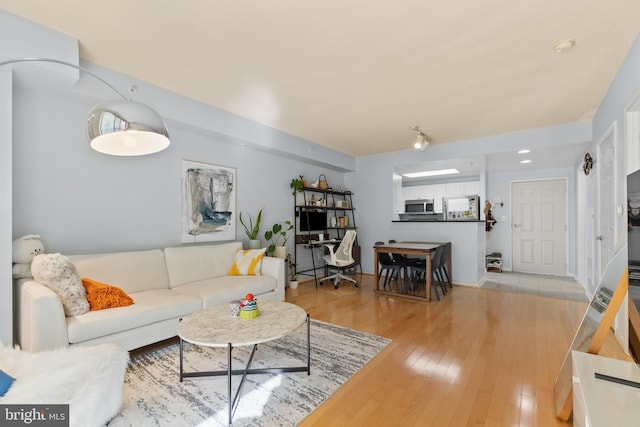 living room featuring hardwood / wood-style floors