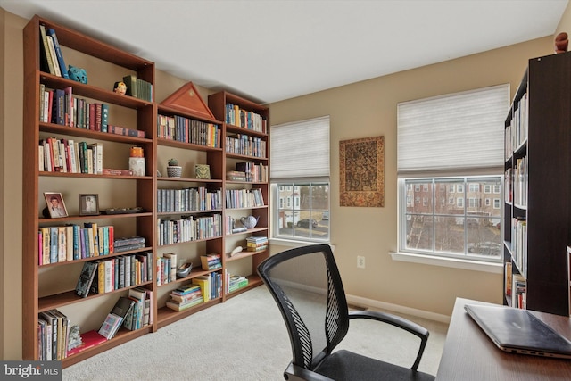 office featuring carpet floors, plenty of natural light, and baseboards