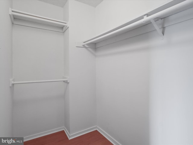 spacious closet featuring wood finished floors