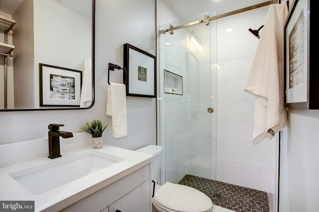 full bathroom featuring toilet, a stall shower, and vanity