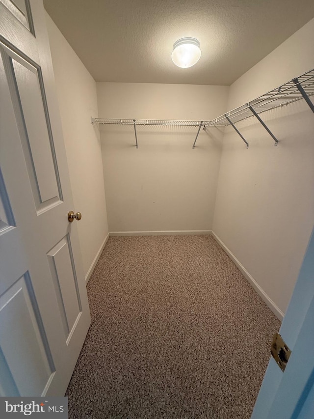 walk in closet with carpet