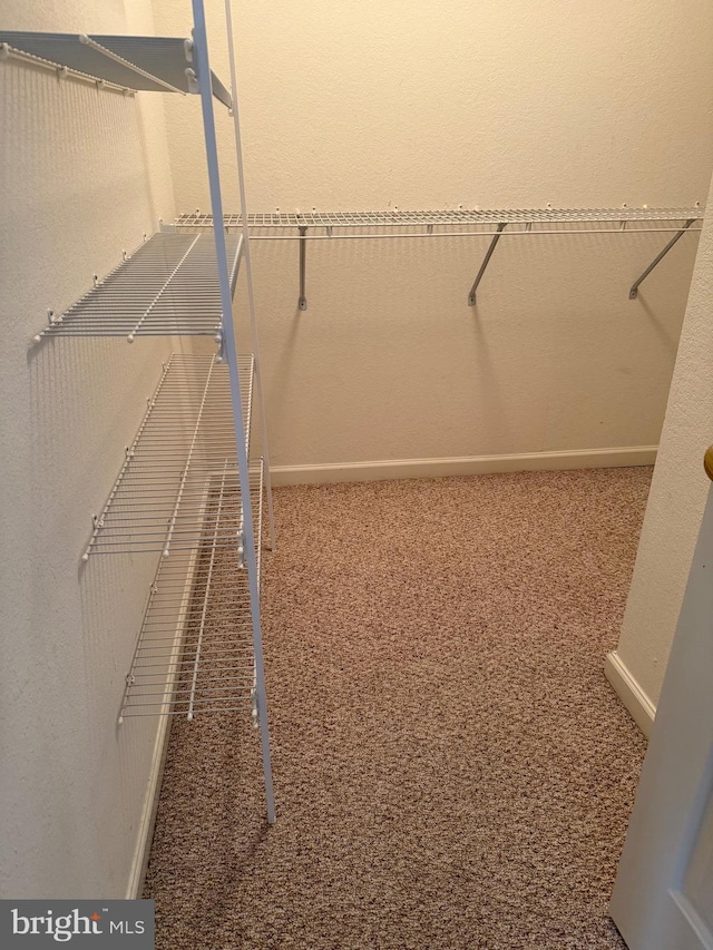 spacious closet with carpet floors