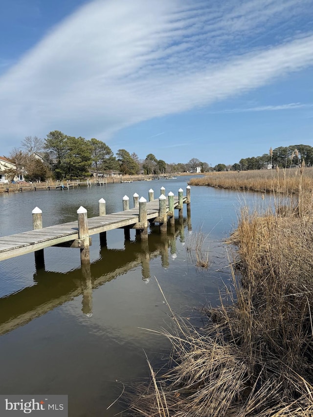 dock area featuring a water view