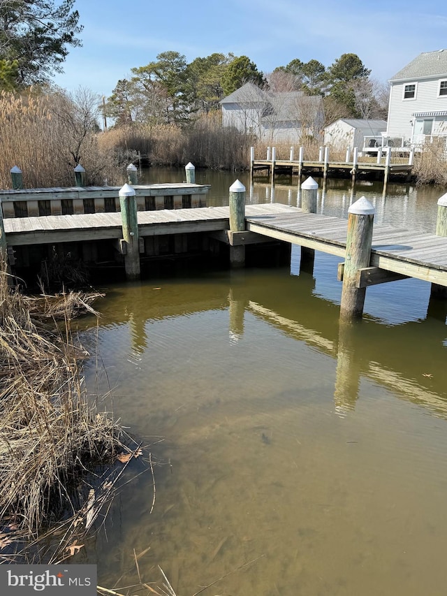 dock area with a water view