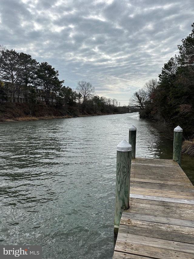 dock area with a water view