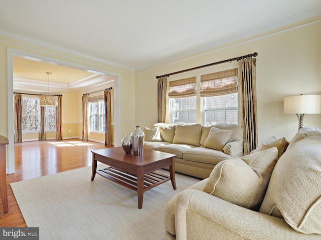 living area featuring ornamental molding, light wood finished floors, and a raised ceiling