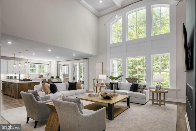 living room featuring light wood-style floors, a wealth of natural light, baseboards, and a high ceiling