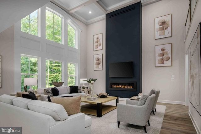 living room with baseboards, wood finished floors, a high ceiling, crown molding, and a fireplace