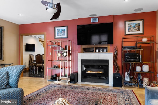 living room featuring a fireplace and wood finished floors