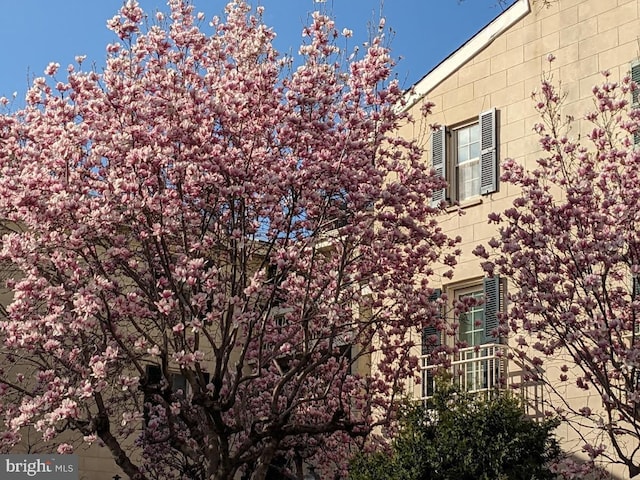 view of home's exterior