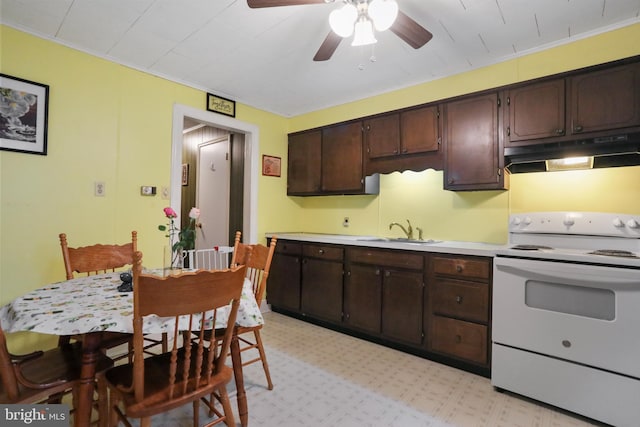 kitchen featuring a sink, under cabinet range hood, dark brown cabinetry, and electric stove