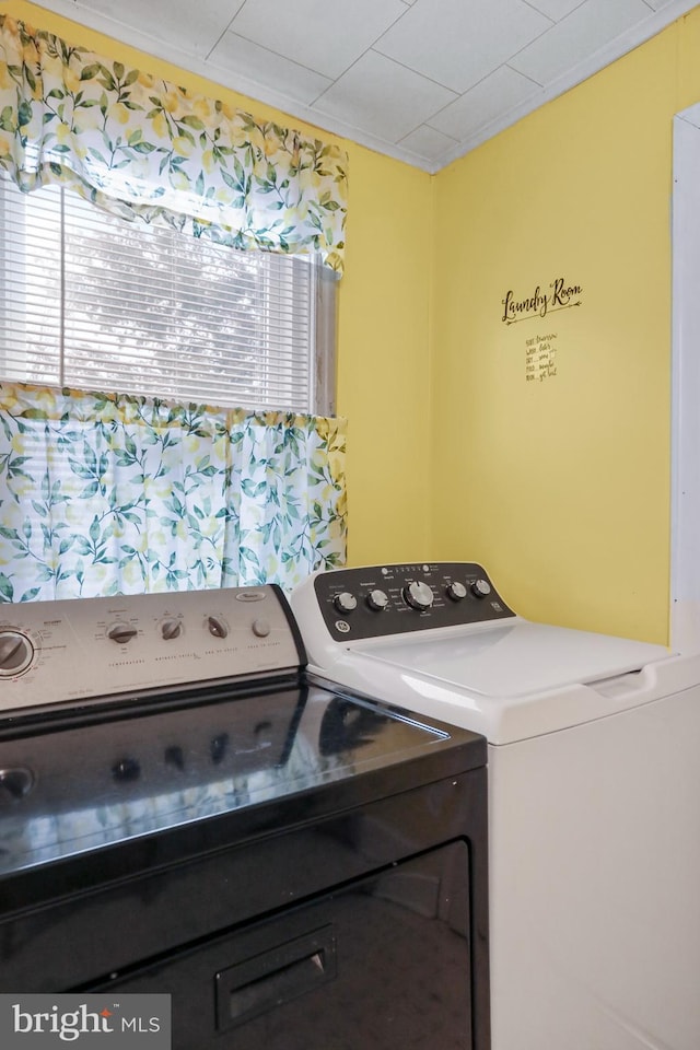 washroom featuring laundry area, ornamental molding, and separate washer and dryer