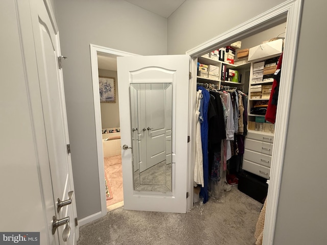 spacious closet featuring carpet floors