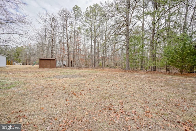 view of yard featuring a storage unit and an outbuilding