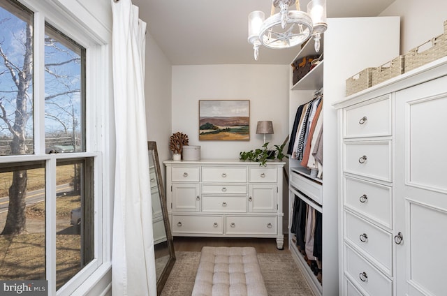 walk in closet with dark wood-style floors and a notable chandelier