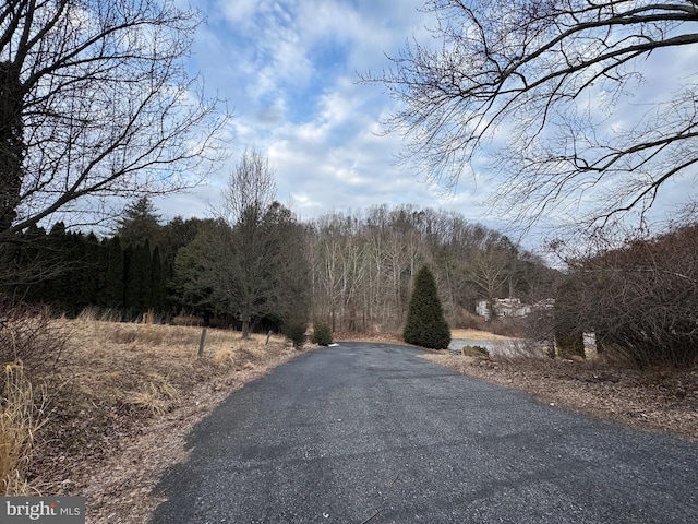 view of road with a forest view