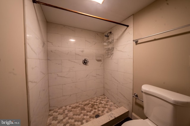 bathroom with a stall shower and toilet