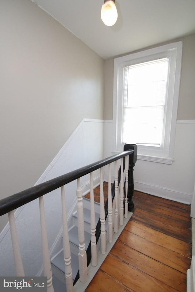 staircase with wood-type flooring