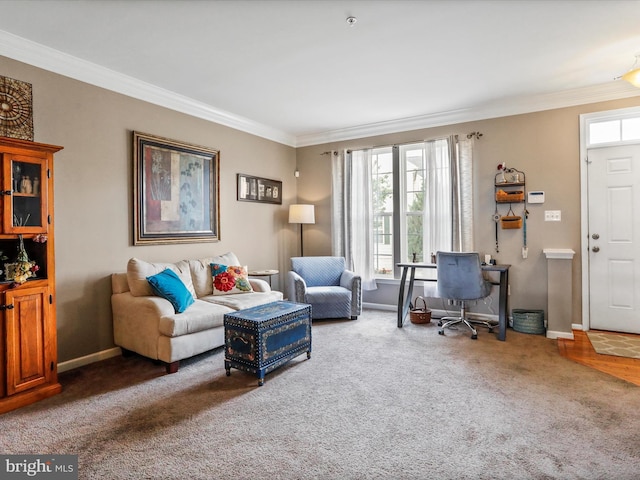 living area featuring carpet flooring, crown molding, and baseboards