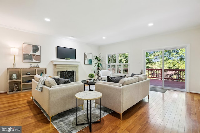 1729 Hutchinson Ln, Silver Spring, MD 20906 - living room featuring a fireplace, hardwood / wood-style floors, recessed lighting, crown molding, and baseboards