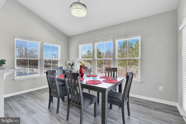 dining room featuring a wealth of natural light, lofted ceiling, and wood finished floors