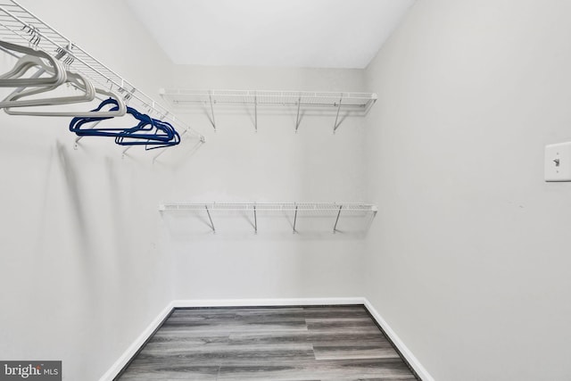 walk in closet with wood finished floors