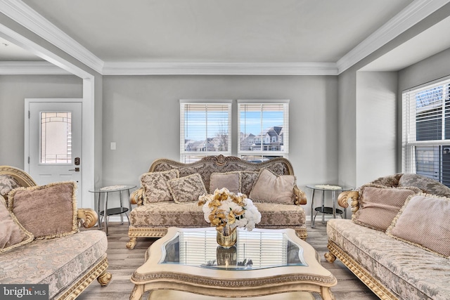 living room with crown molding and wood finished floors