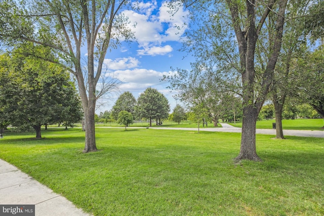 surrounding community featuring a yard