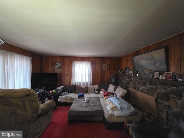 living area with carpet and wood walls