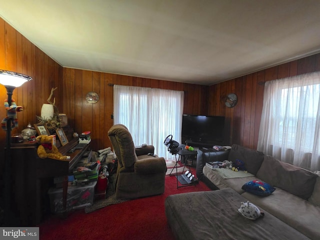 living room featuring wooden walls