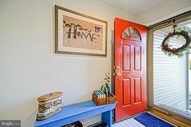 foyer featuring wood finished floors