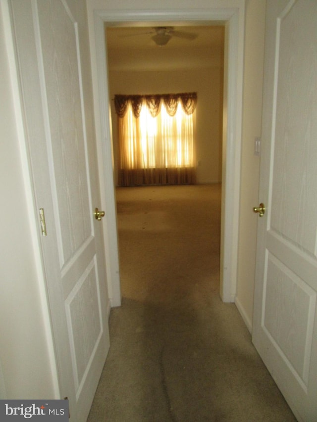 corridor with carpet flooring