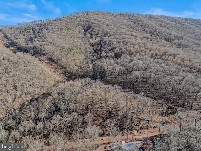 Ore Ln, Lot Berkeley Springs WV, 25411 land for sale