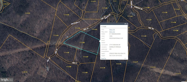 Listing photo 3 for Ore Ln, Lot Berkeley Springs WV 25411