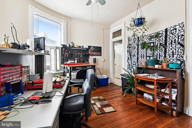 office featuring ceiling fan and wood finished floors