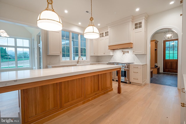 kitchen with high end stove, a sink, decorative backsplash, light wood finished floors, and custom range hood