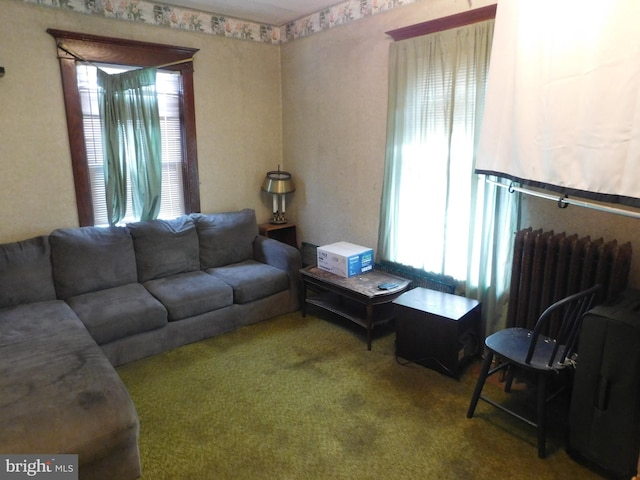 living room featuring carpet floors and radiator heating unit