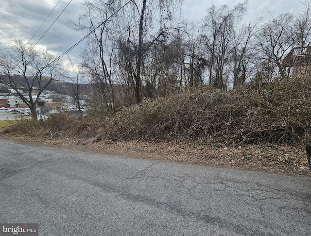 Wilson Ln, Berkeley Springs WV, 25411 land for sale