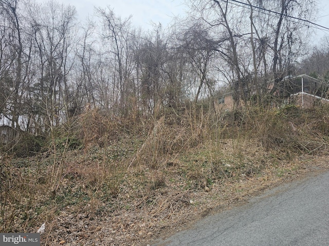 Listing photo 3 for Wilson Ln, Berkeley Springs WV 25411