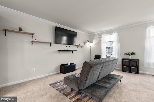 living room featuring carpet flooring, crown molding, and baseboards