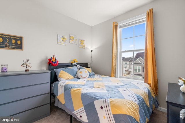 bedroom with carpet floors