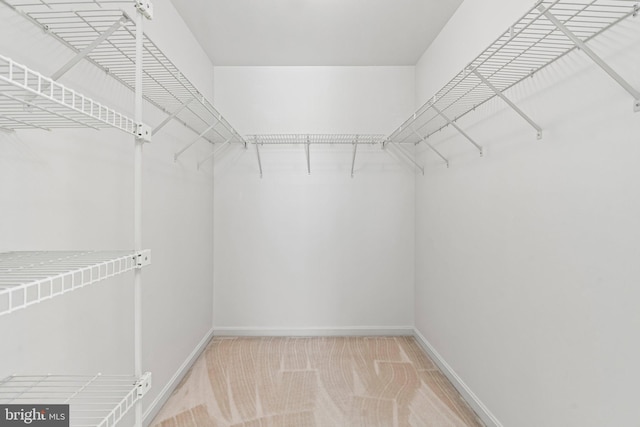 walk in closet featuring carpet floors