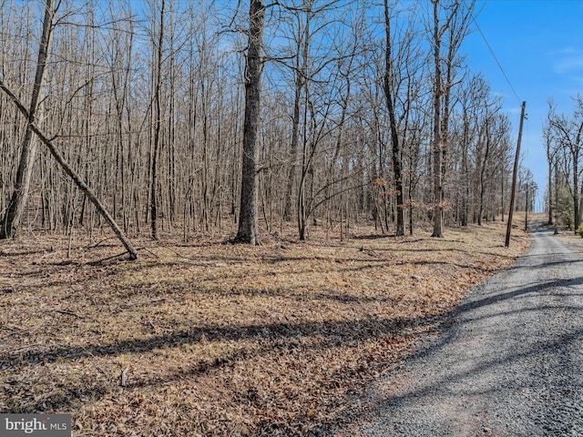 Spring Dr Unit B, Berkeley Springs WV, 25411 land for sale