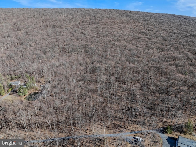 Spring Dr Unit A, Berkeley Springs, WV 25411