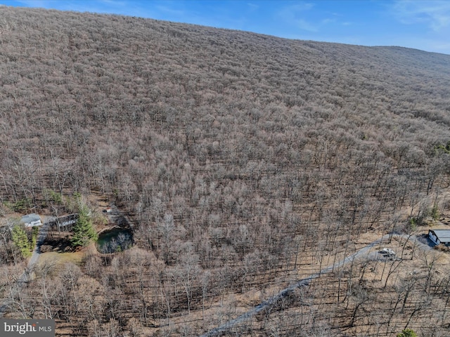 Spring Dr Unit A, Berkeley Springs, WV 25411