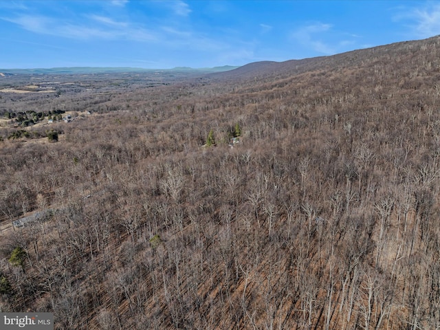 Spring Dr Unit A, Berkeley Springs, WV 25411