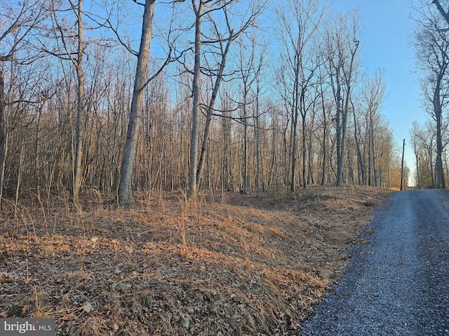 Spring Dr Unit A, Berkeley Springs, WV 25411