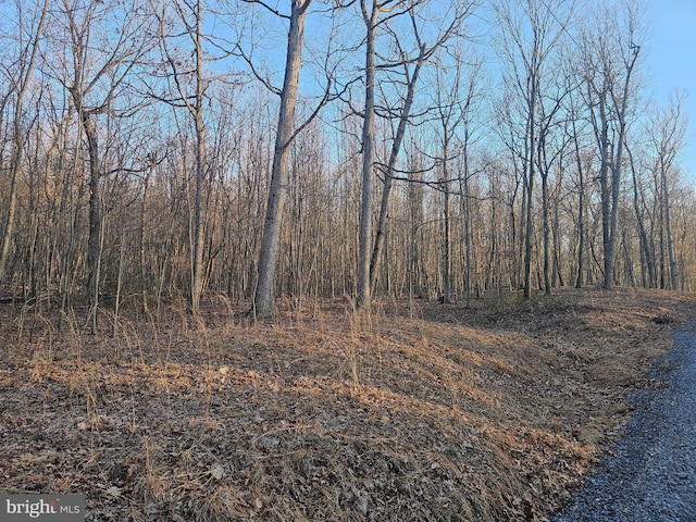 Spring Dr Unit A, Berkeley Springs, WV 25411