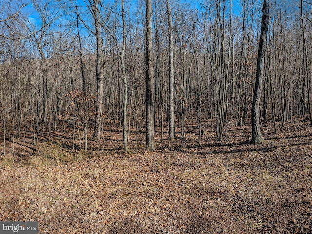 Spring Dr Unit A, Berkeley Springs, WV 25411