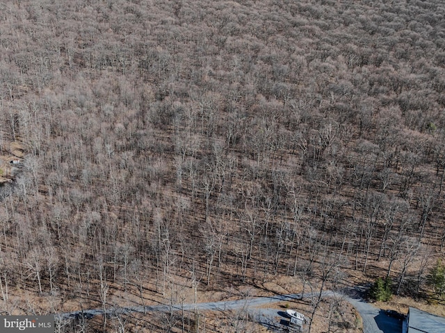 Spring Dr Unit A, Berkeley Springs, WV 25411